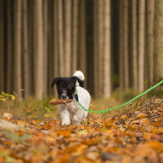 Relaxdays Dog Leash/Lead Strap In Green Colour 1.5m