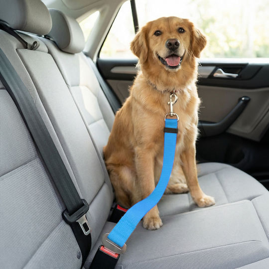 Mercaton Hunde Auto Reisezubehör Sicherheitsgurt Für Hund Rot