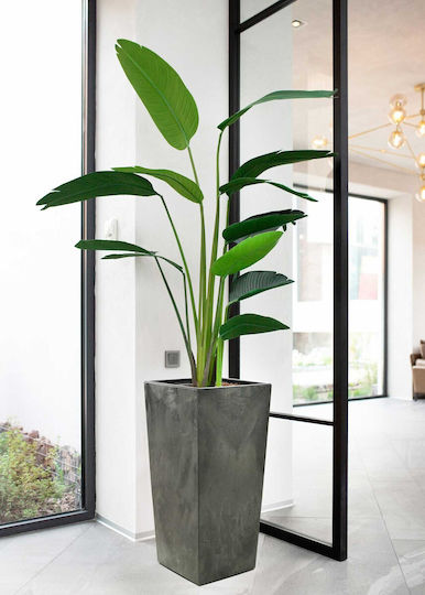 HowHomely Beton Blumentopf Grau 57cm