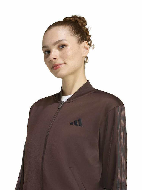 3-stripes Σετ Φόρμας Καφέ