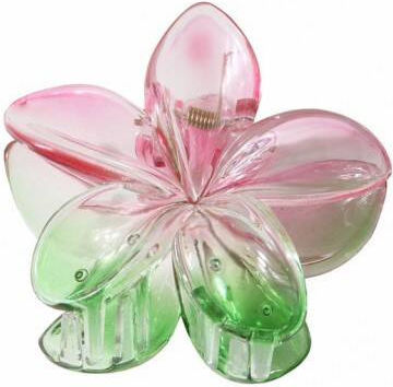 Ecarla Clamă De Păr Cu Floare Moana Ombre Verde Roz Sp319