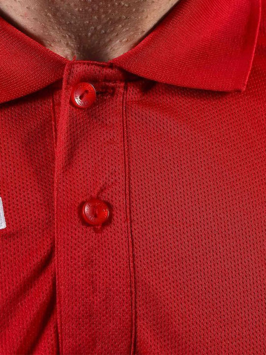 Polo Athletic Short Sleeve Blouse Red