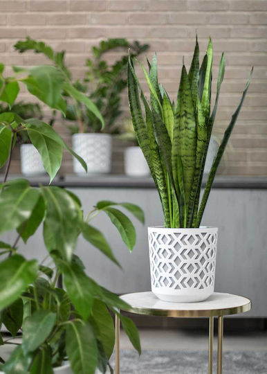 HowHomely Flower Pot White-Grey 15x15cm