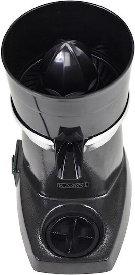 Karni Squeezer Cone