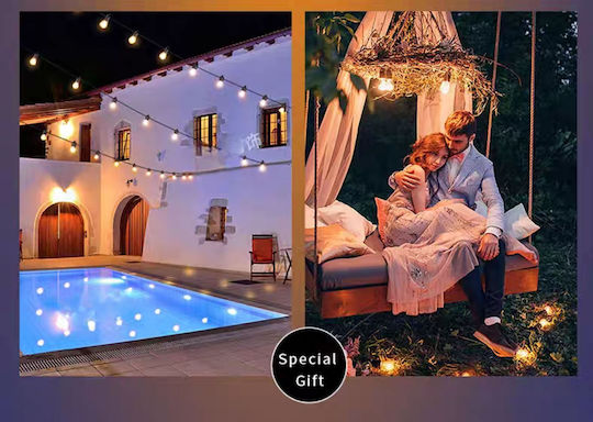 Factory Hanging Solar Light Garland Warm White With Photocell