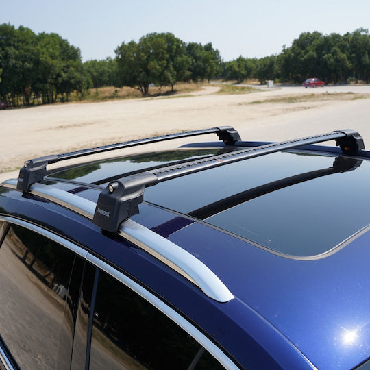 Thunder Autodachträger Audi A6 Avant C6 2005-2010 Integrierter Dachreling