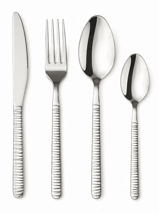 Set de Tacâmuri Argintii 4 Bucăți