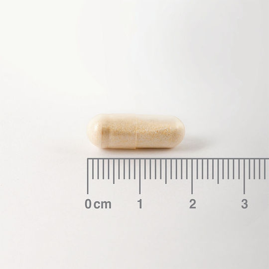 Lamberts Digestizyme χωρίς Γλουτένη 100 κάψουλες