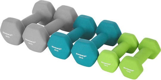 Songmics Βαράκι Εξάγωνο από Νεοπρένιο 1 x 3kg