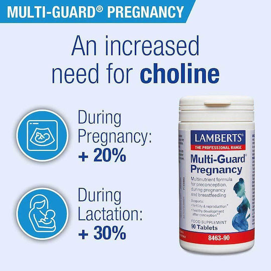 Lamberts Multi-guard Pregnancy, 90 Tabs