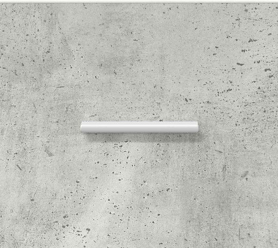 vidaXL Schuhorganisatoren aus Spanplatte 48x36x92cm