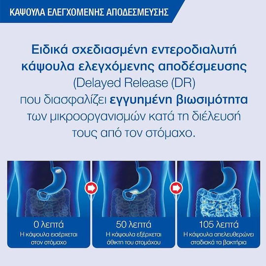 Lamberts Biome Balance Everyday Ultra Συμπλήρωμα με Προβιοτικά 30 κάψουλες