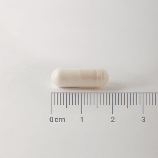 Lamberts Thiamin Βιταμίνη για την Υγεία του Νευρικού Συστήματος 100mg 90 κάψουλες