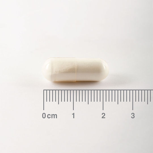 Lamberts L-glutamine 500mg 90 Capsule