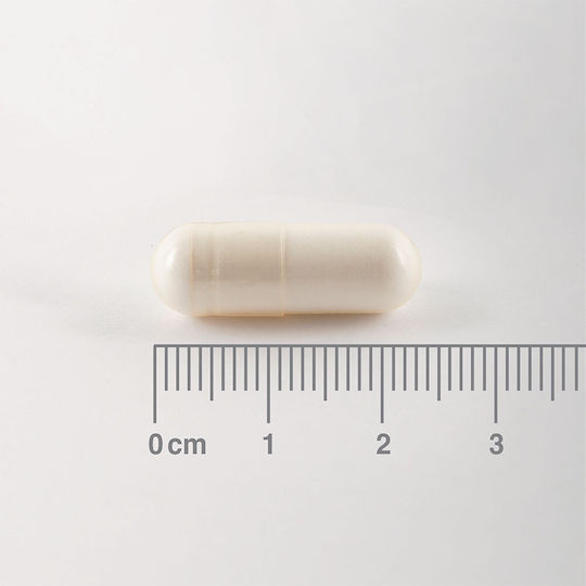 Lamberts Bcaa 180 Ταμπλέτες 180 Κάψουλες