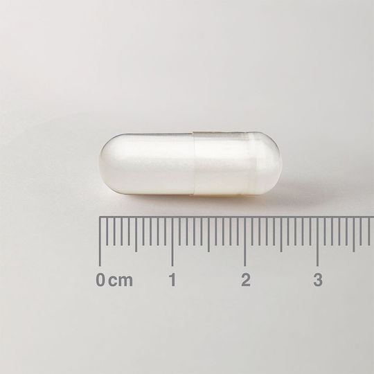 Lamberts L-Ornithine 500mg 60 Κάψουλες Unflavoured