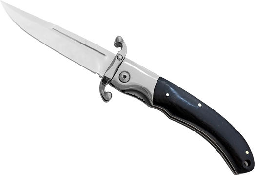 Blade Taschenmesser Schwarz