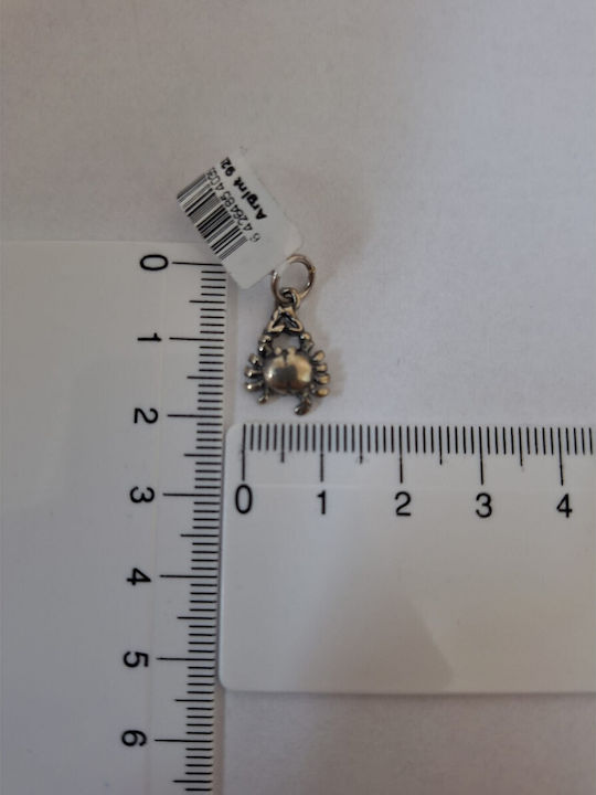 Handy Charm Semn Zodiacal Rac din Argint