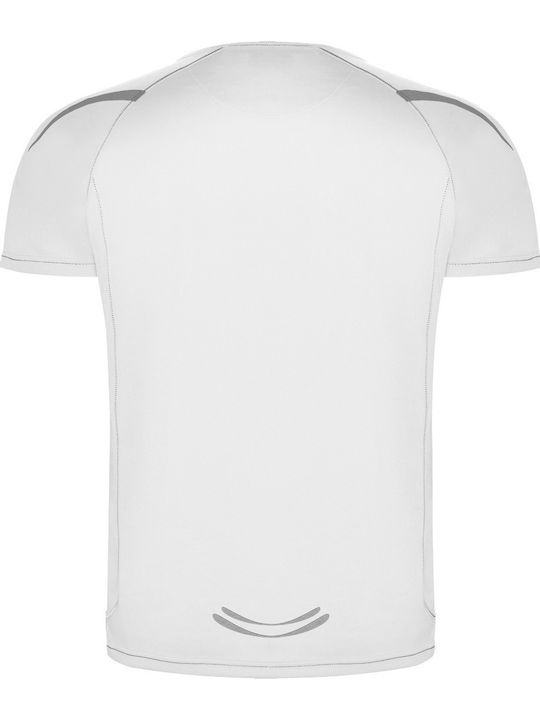 Roly Ανδρικό Διαφημιστικό T-shirt Κοντομάνικο σε Χρώμα