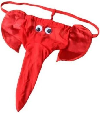 Männer Sexy String Grau