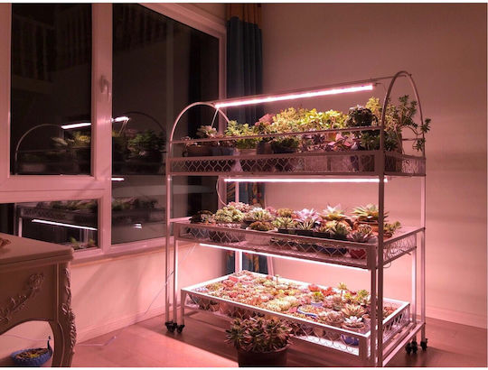 Alista Home Grow Light cu LED