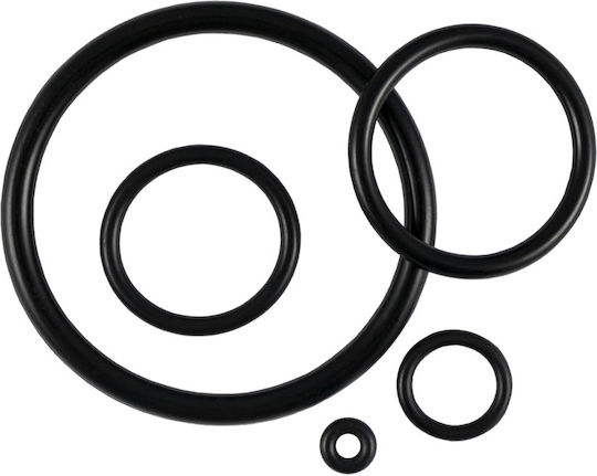 JBM O ring 50651 386τμχ