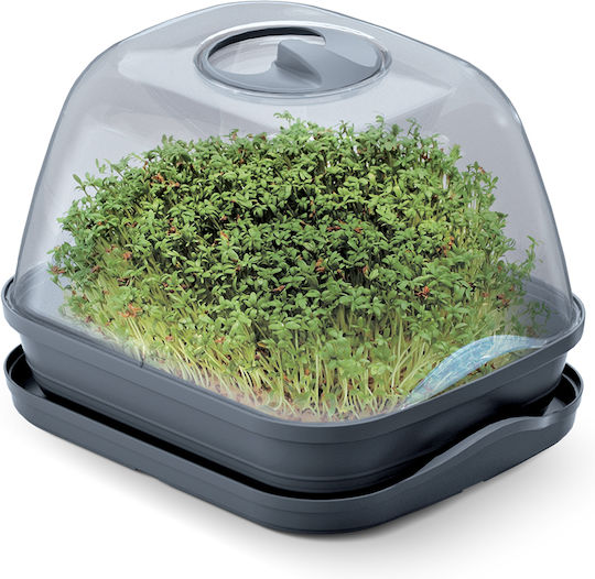 Prosperplast Respana Table Plus Mini Σπορείο 25.7x19.6x18.5cm