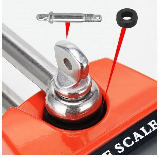 Electronic Professional Hanging Scale with Weighing Capacity of 300kg