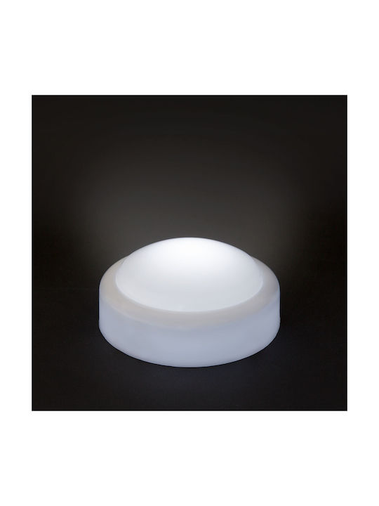 Alista Home Lămpi Decorative Pentru Masă LED