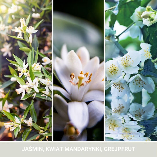 Yankee Candle Lufterfrischer-Karte Autoanhänger Jasmin 14gr 1Stück