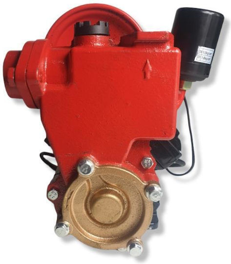 Mini Wasserpumpe Elephant Ps170 370 W 2850 U/min Gusseisen 1,2 L Tankkapazität