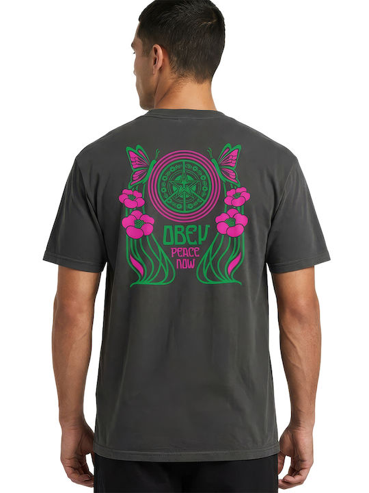Obey