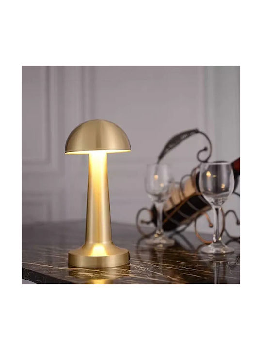 Decorative LED Light Warm White 3000K 2pcs
