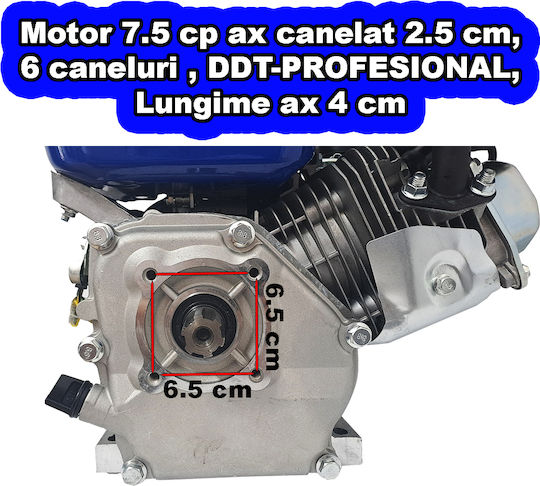 DDT Motor Pe Benzină Patru Timpi 200cc 7.5cp Turație Maximă 3600rpm Ax Orizontal cu Pornire Electrică Rezervor 3.6l