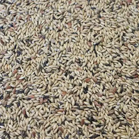 Ornitalia Canarini Extra – Canaries Seed Mix 20kg