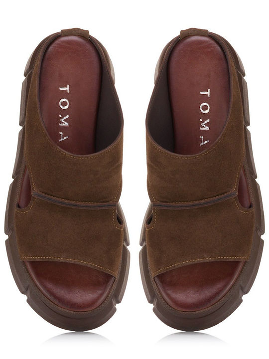 Tomas Shoes