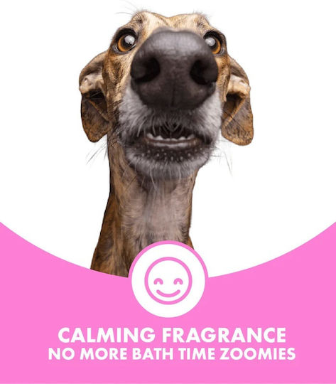Șampon Balsamic Pentru Căței Aloe Fulgi De Ovă Dotdotpet Vegan Ingrediente 100% Naturale 280 Ml