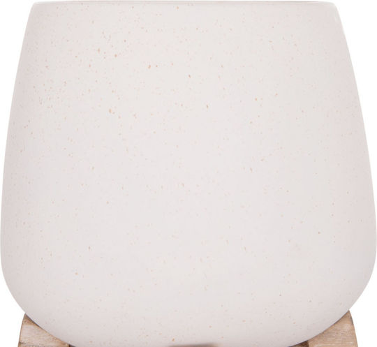 Freebox Wooden White Flower Pot 5x14cm