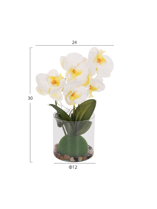 Декоративно Синтетично Растение Fb94738 Осветително Цвете Phalaenopsis Стъклен Ваз 12x24x30см