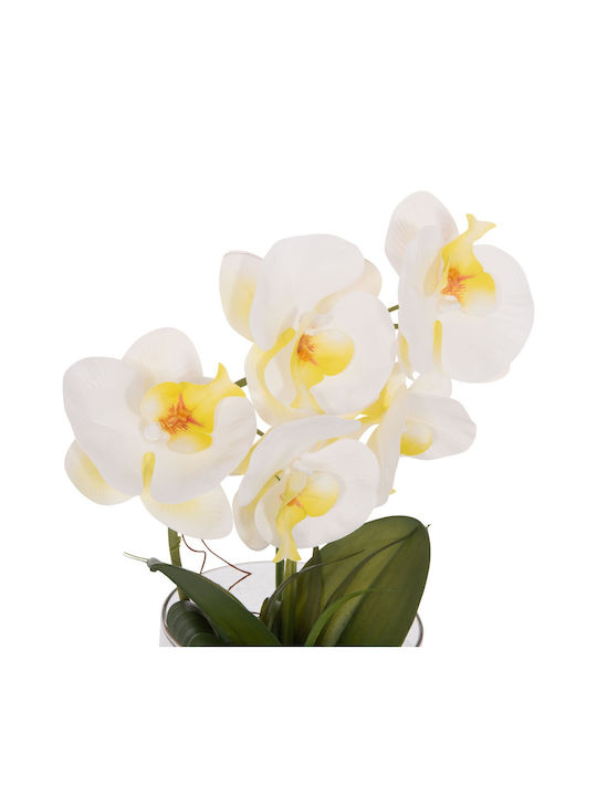 Decorative Artificial Plant Fb94738 Orchid Glass Vase 12x24x30cm