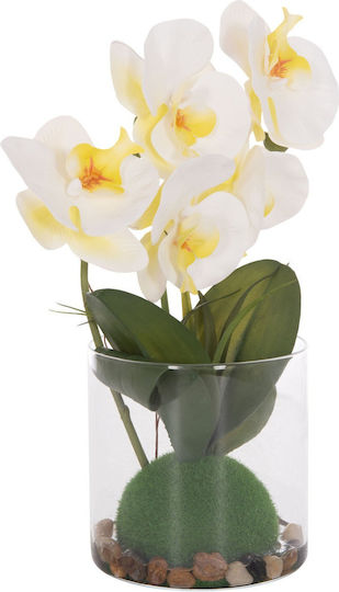 Dekoratives Künstliches Pflanze Fb94738 Blume Phalaenopsis Glasvase 12x24x30cm