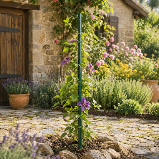 Suport Plante Pomi Tineri 120 Cm Țepușă Diametru 16 Mm Utilizare Universală