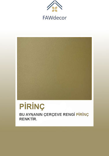 SteweHome Καθρέπτης Μπάνιου από Μέταλλο 60x60cm Μπρονζέ