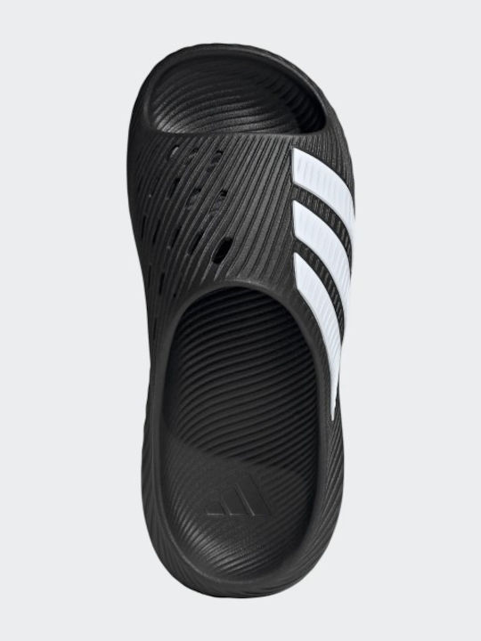 Slides În Culoare Neagră