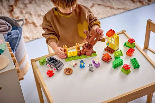 LEGO Duplo 44 Бройки