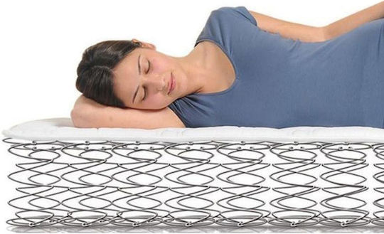 SteweHome Ορθοπεδικό Στρώμα Κούνιας 50x80+20cm