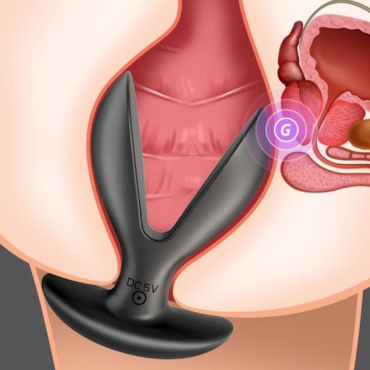 Chisa Novelties Vibrator Anal Negru