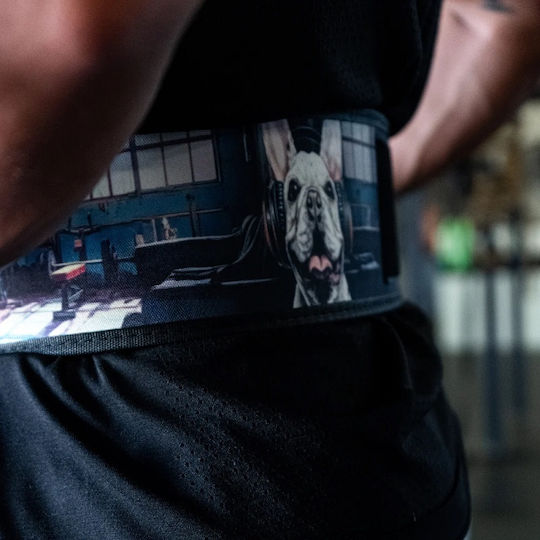 French Bulldog Centură De Haltere Dreaptă 4" 2pood