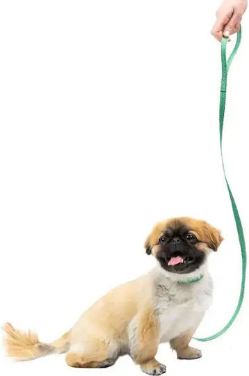 Ferplast Dog Leash/Lead Strap in Orange Colour