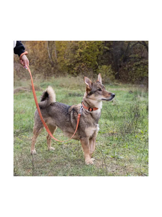 Hundehalsband Ferplast Greener Groß Orange